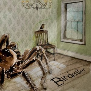 Birdeater