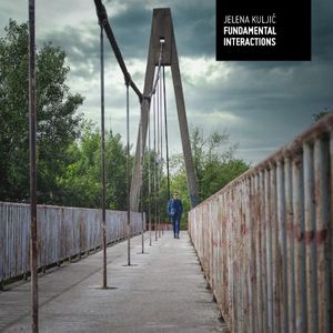 Fundamental Interactions