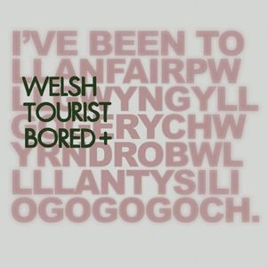 Welsh Tourist Bored / Hunangofiant (Single)