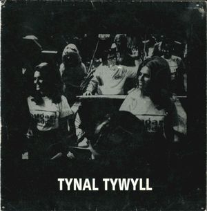 Mae’r Telyn Wedi Torri / Y Gwyliau (Single)