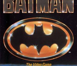 image-https://media.senscritique.com/media/000023250354/0/batman_the_video_game.jpg