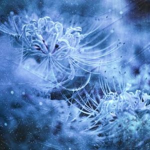 Optical (Single)