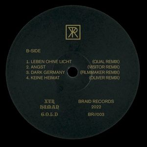 G.O.L.D / Technofossil Remix Split (EP)