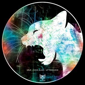 Echo Slam / Aftershock (Single)