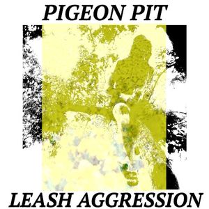 Leash Aggression