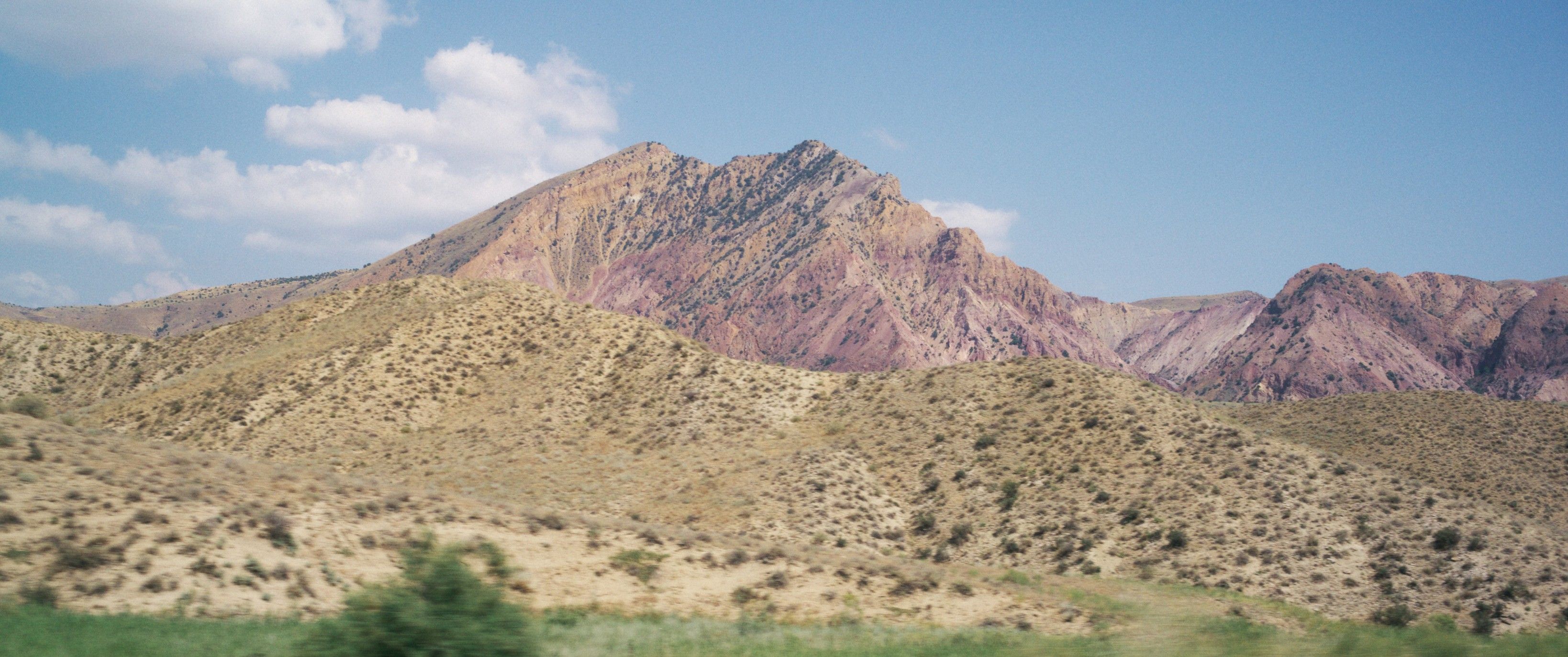backdrop