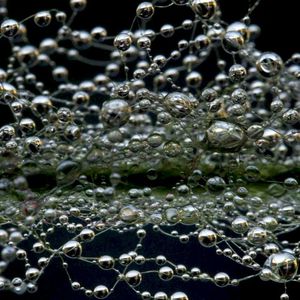 Weapons of the Weak (EP)