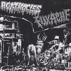 Agathocles / Fuxache (EP)