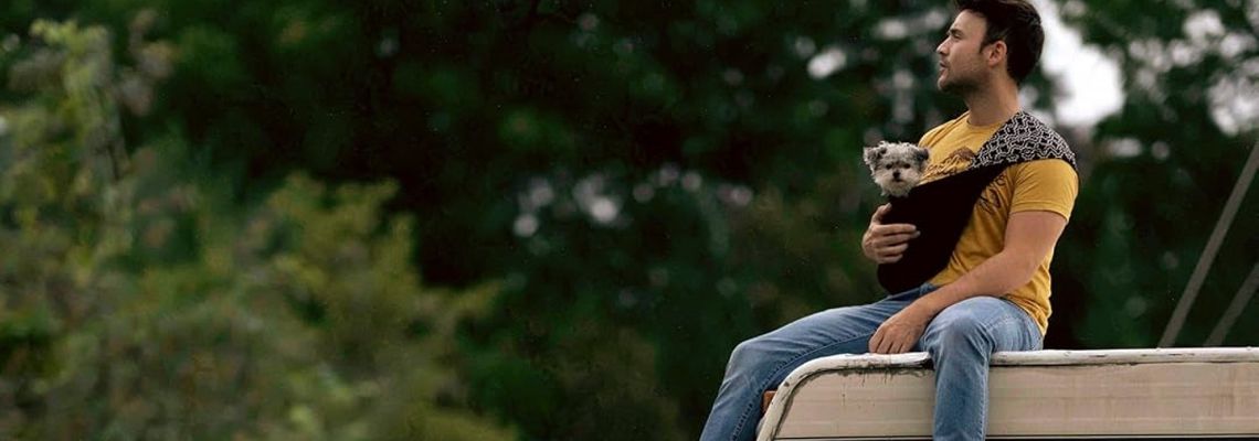 Cover Dogs on the Sendero