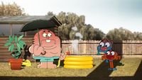 La piscine