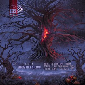 Somewhere It’s Reborn