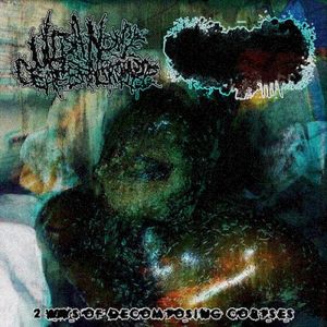 2 Ways of Decomposing Corpses (EP)