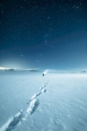 Subzero