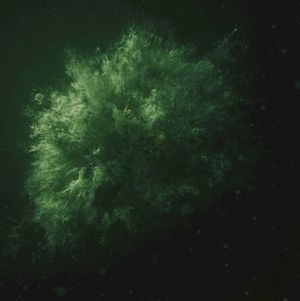 Subliminal Growth Patterns