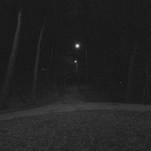 wandering (Single)