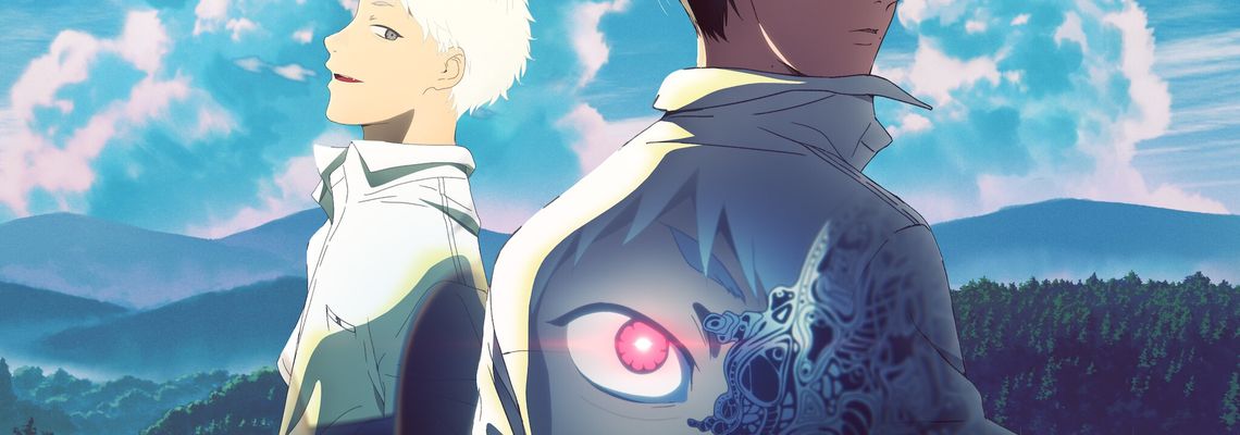 Cover The Summer Hikaru Died