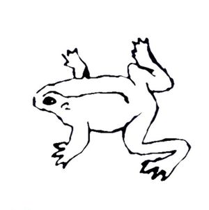 Wet Frog Getting Cold