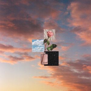 slow wonders