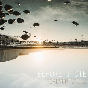 Before I Die (Single)