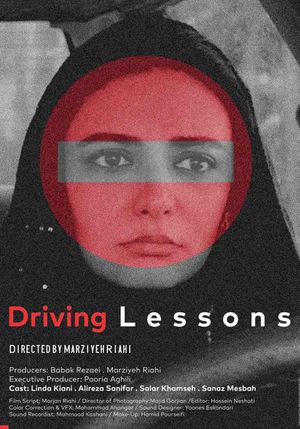 Driving Lessons