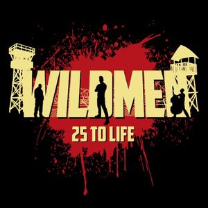 25 to Life (Single)
