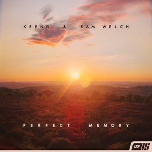 Perfect Memory (Single)