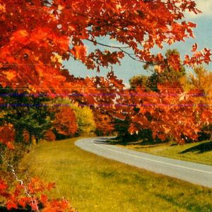 Fall/Asleep (Single)