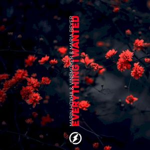 Everything I Wanted (Single)