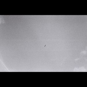 Gray All Over (Single)