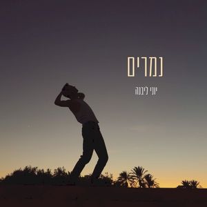 נמרים (Single)