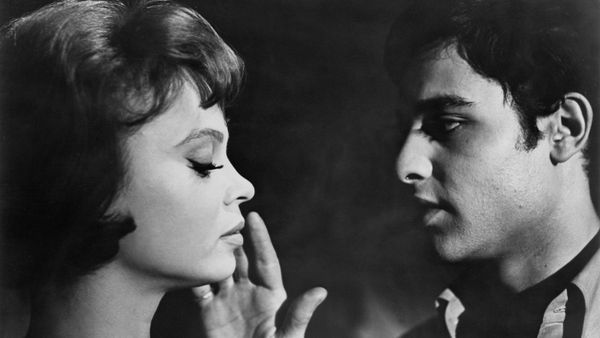 Who Killed Teddy Bear