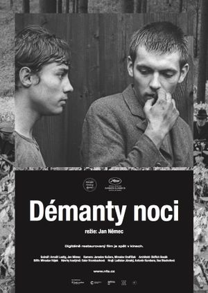 Les Diamants de la nuit