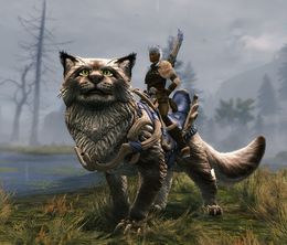 image-https://media.senscritique.com/media/000023278511/0/guild_wars_2_janthir_wilds.jpg