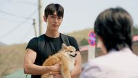 Episode 12