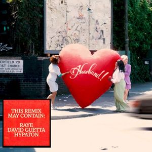 WHERE IS MY HUSBAND! (Remix)