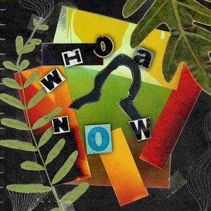 Whoa Now (Single)