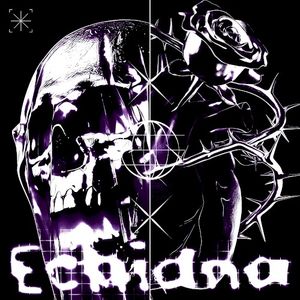 echidna (Single)