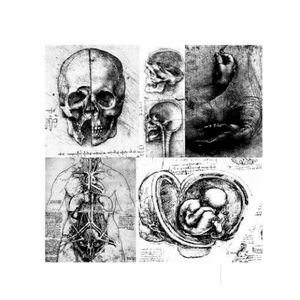 Absence Generator (EP)