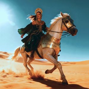 SENTIMENTAL (Single)