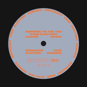 Running to the Sea (True Electric) (anamē remix)