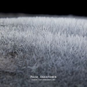 Pulse Variationen (EP)