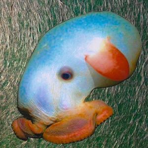 Soulless / Tension (Single)