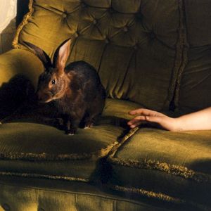 Storm Warnings (Single)