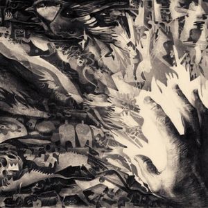 Disunited States of Anima