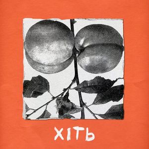 ХІТь