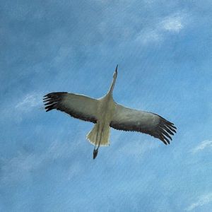 Debu Kan Kembali Menjadi Debu (Single)