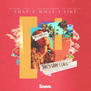 That's What I Like (Single)