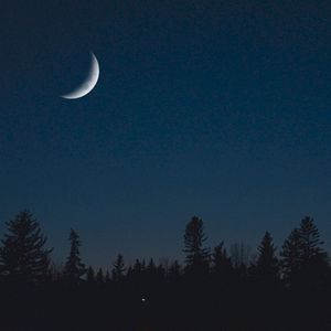 Orbiting Softly (Single)