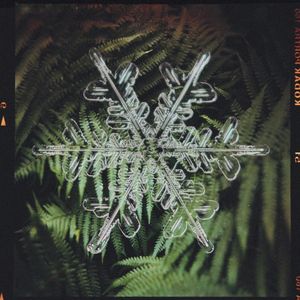 snoreflake (Single)