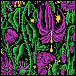 Live in Tilburg '25 (Live)